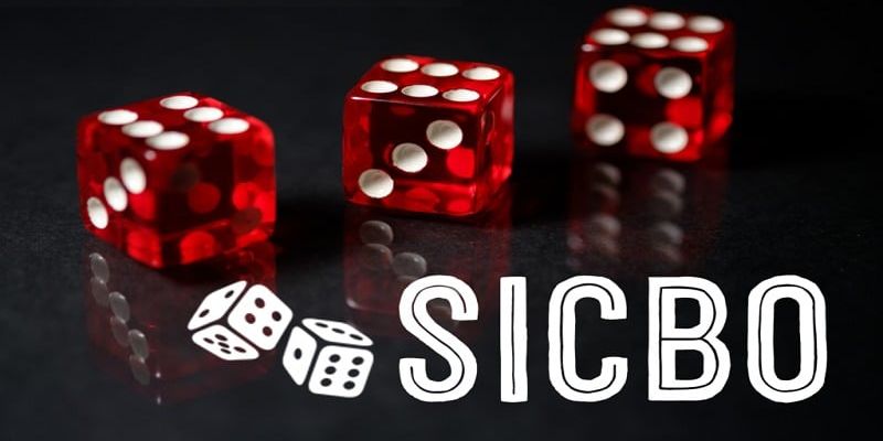Sicbo mang đến nhiều cơ hội chiến thắng Sicbo mang đến nhiều cơ hội chiến thắng