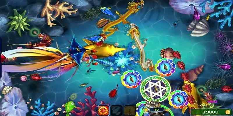 Lý giải sức hấp dẫn của máy bắn cá sảnh cược 77Win Lý giải sức hấp dẫn của máy bắn cá sảnh cược 77Win